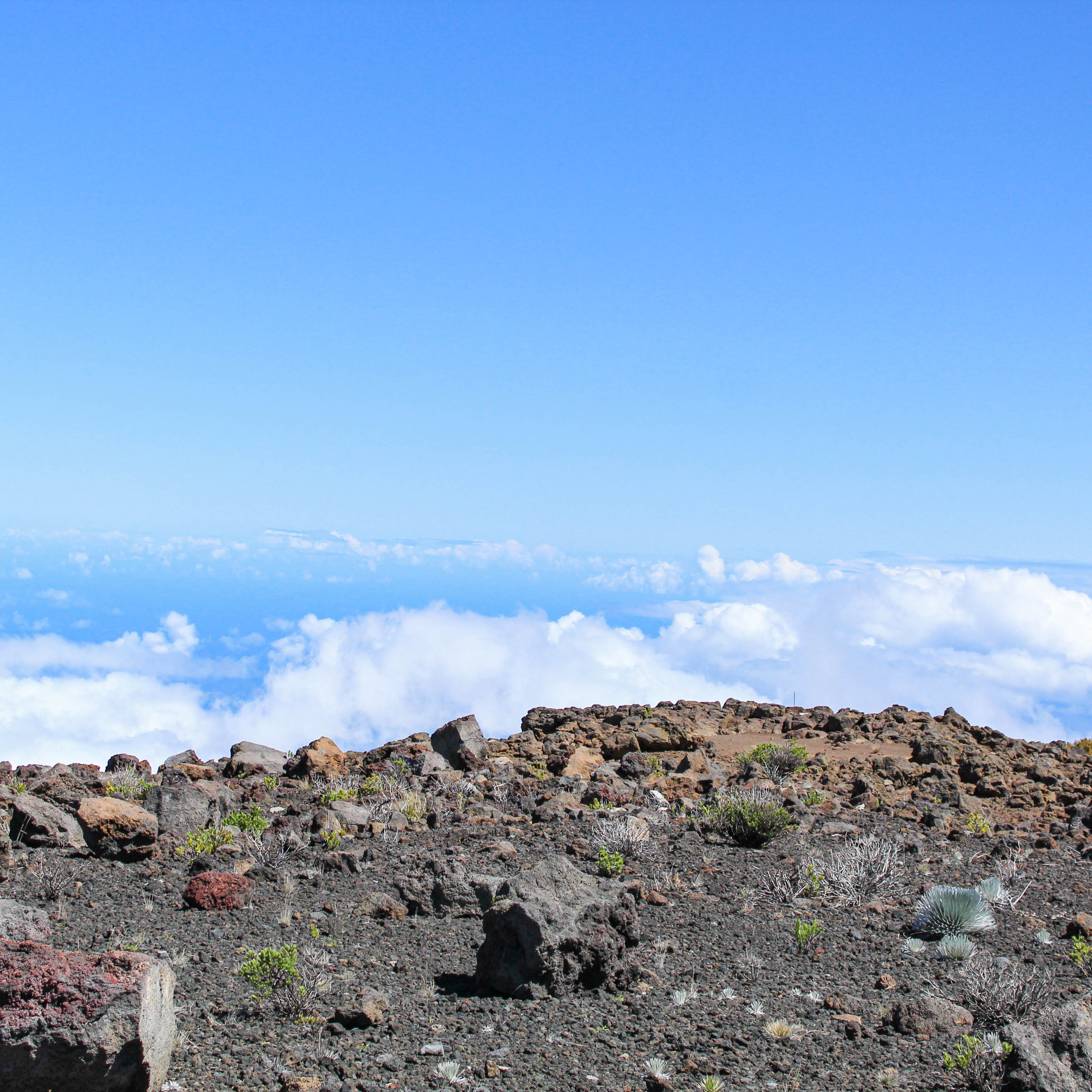 Image of a cliff above the clouds.