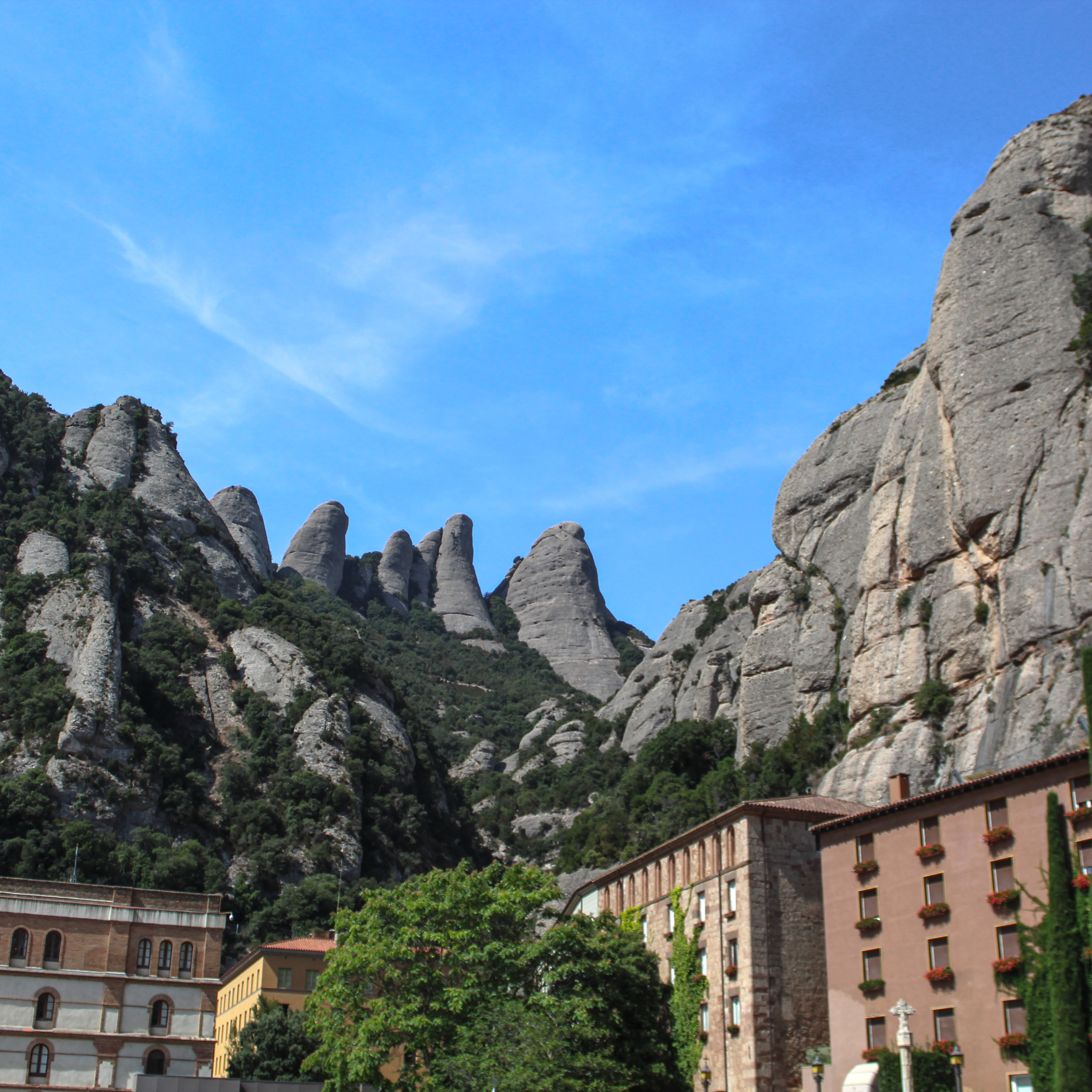 Image of buildings surrounded by trees.