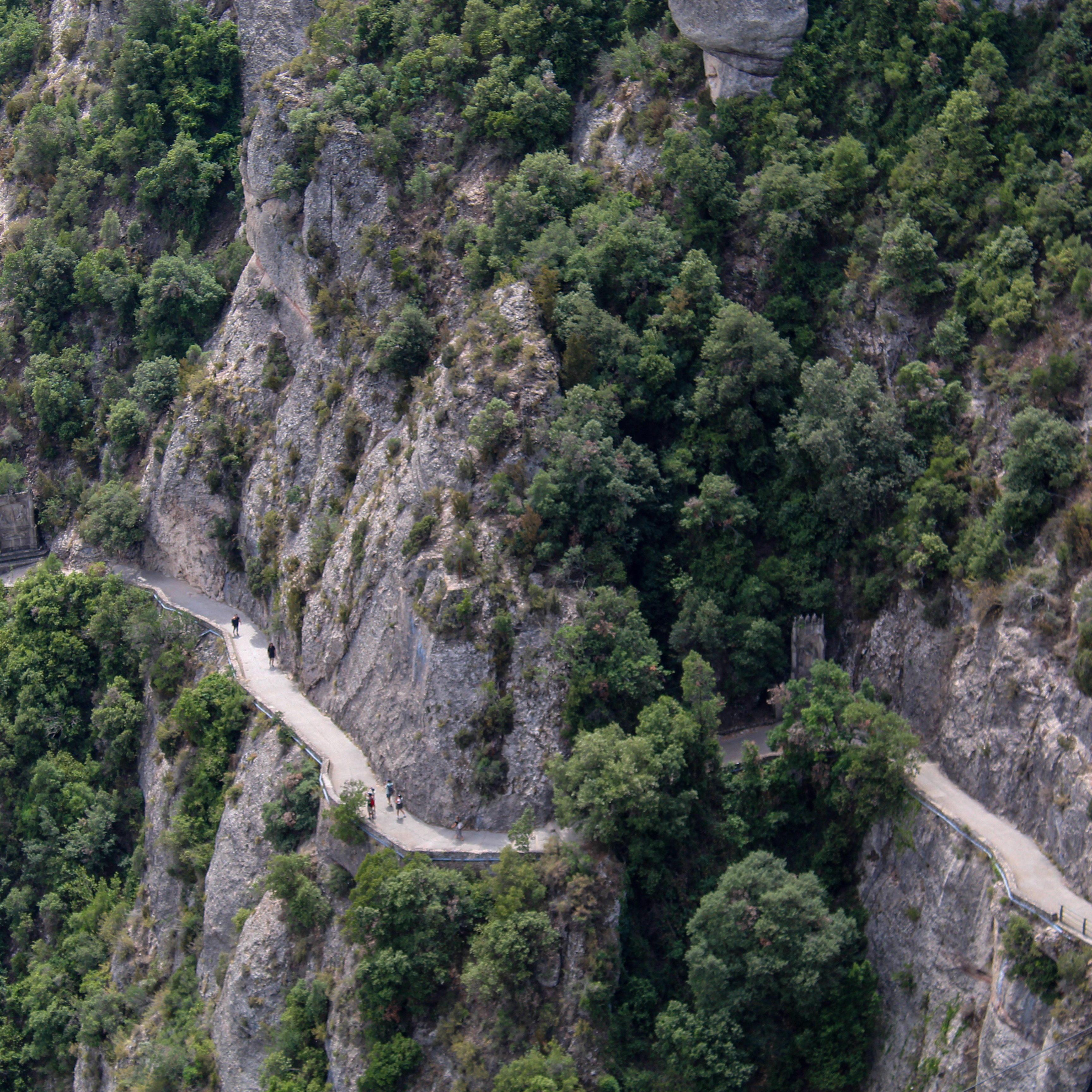 Image of a narrow path surrounded by trees.