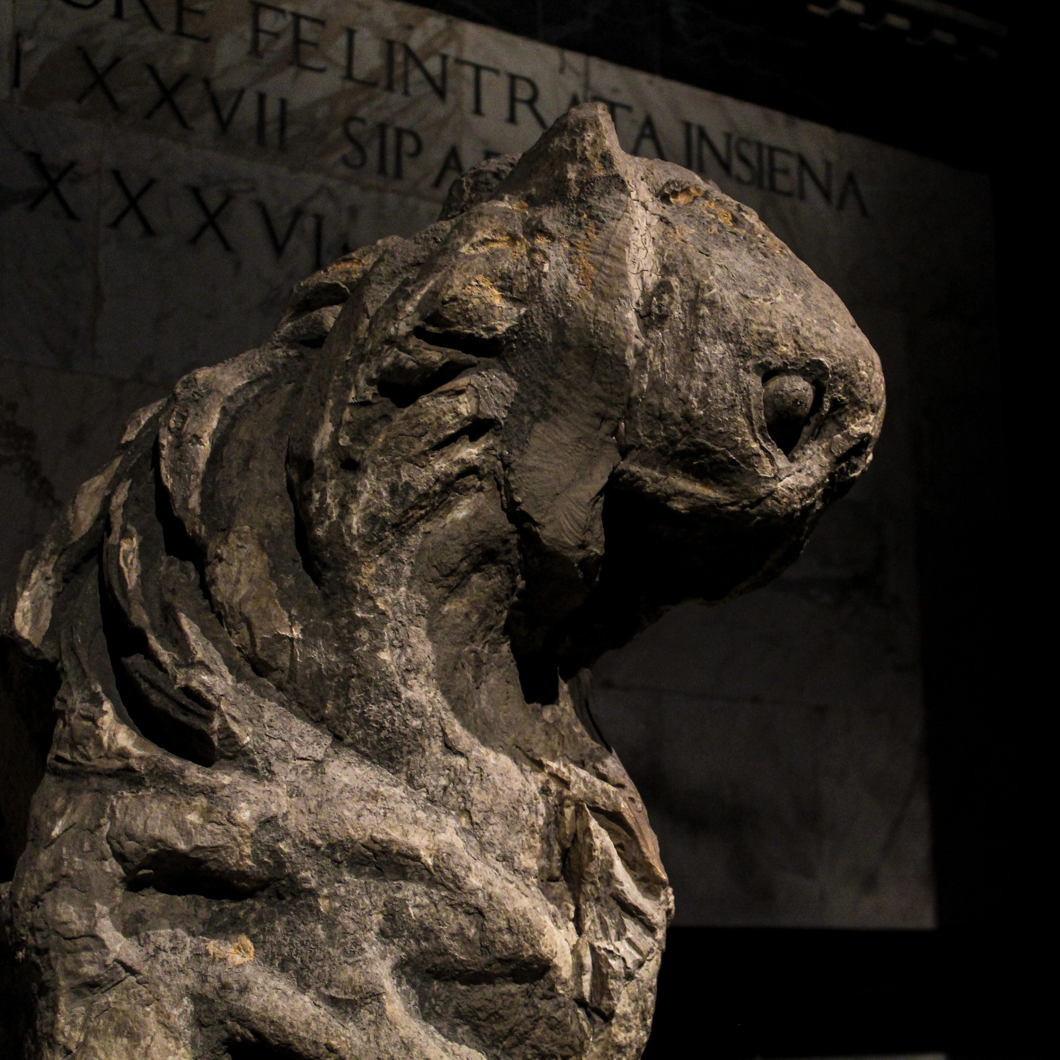 Image of a deformed sculpture of an animal.