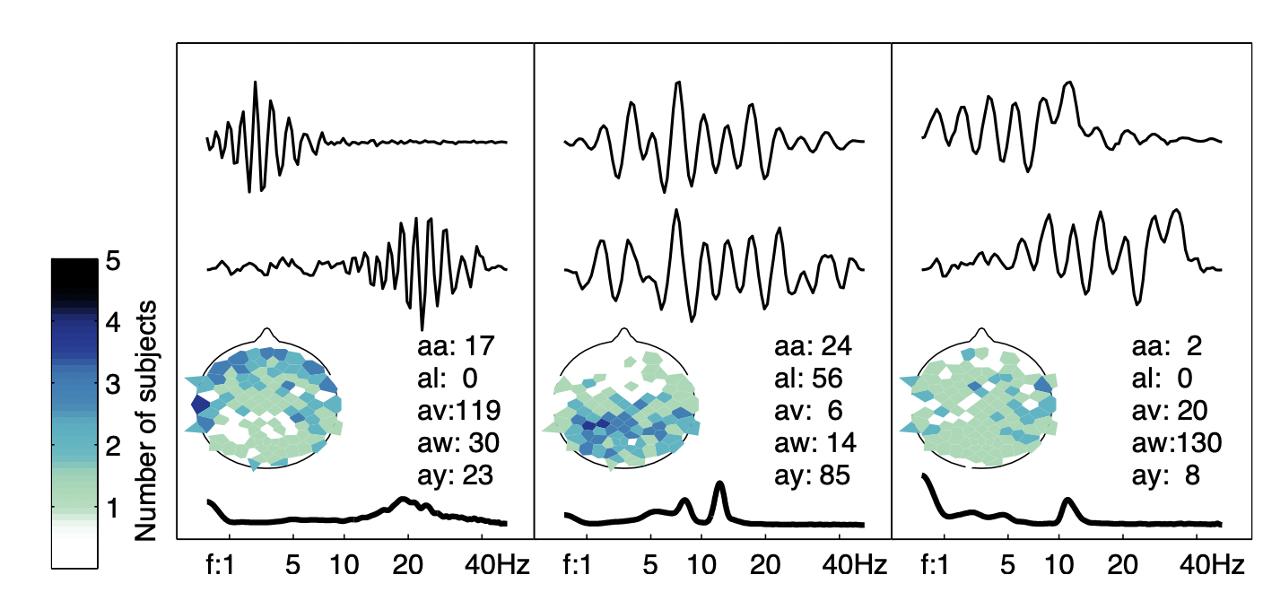 Each cluster of waveforms is described by its centroid, the waveform nearest the centroid, the spectrum of the centroid, and the spatial distribution of the originating electrodes for the cluster waveforms.