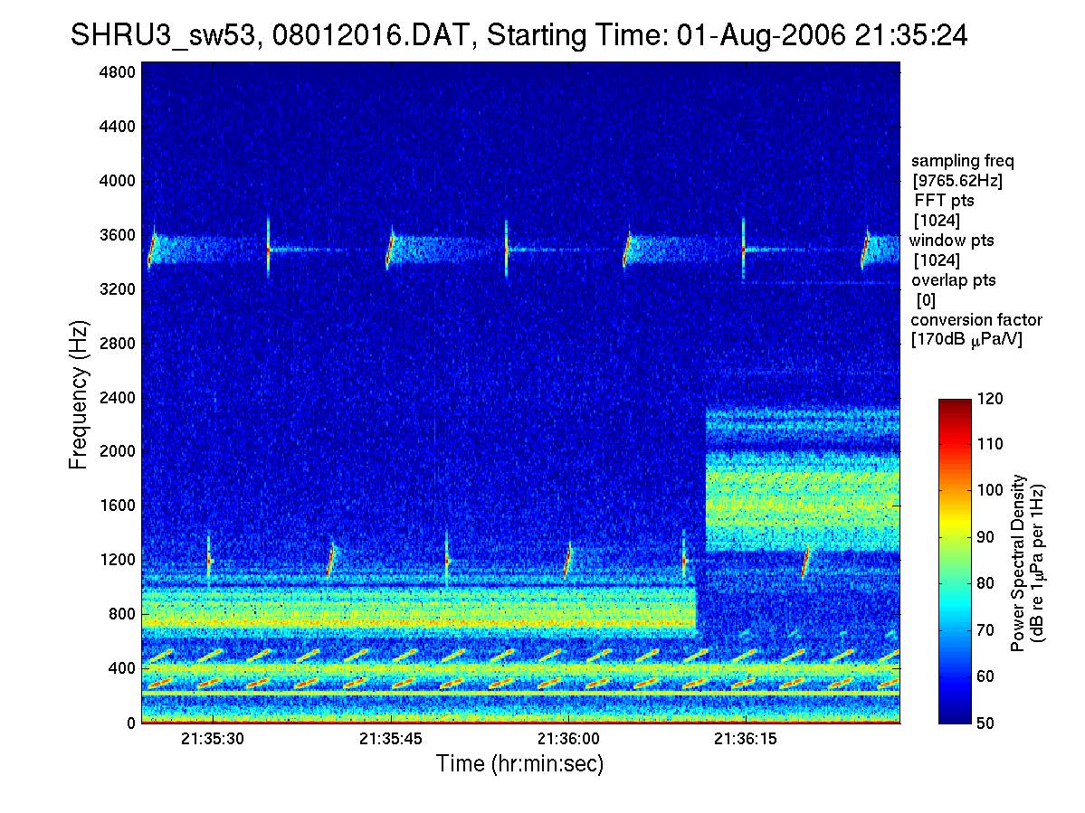 recorded signal in SW06 experiment