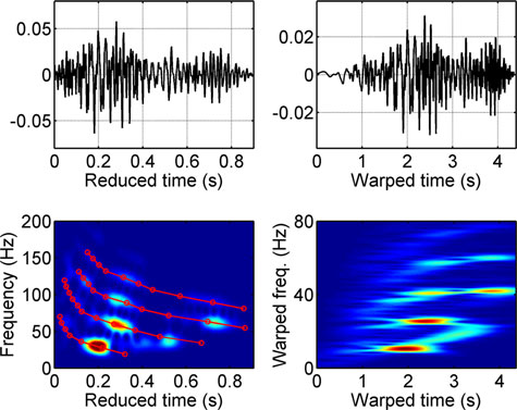 warped airgun signals