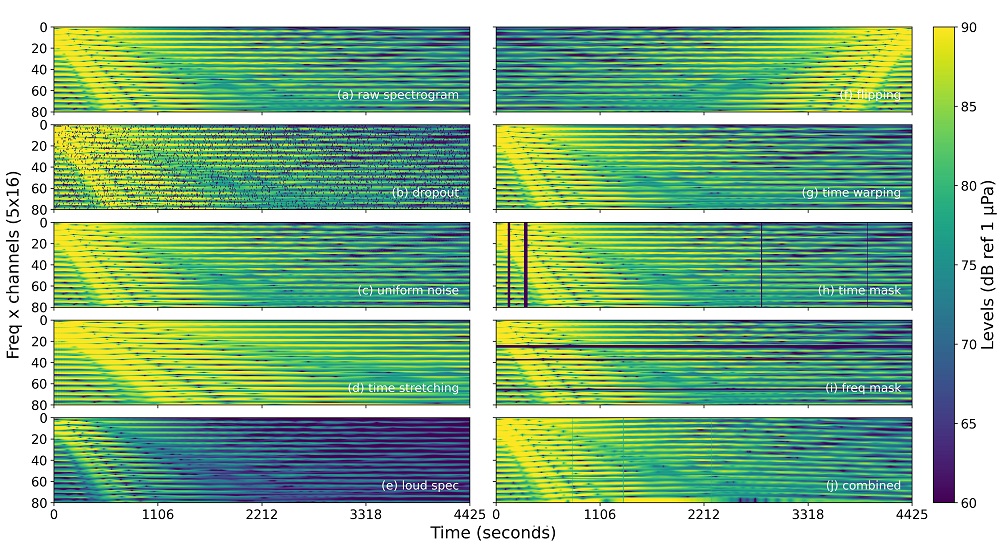 data augmentation