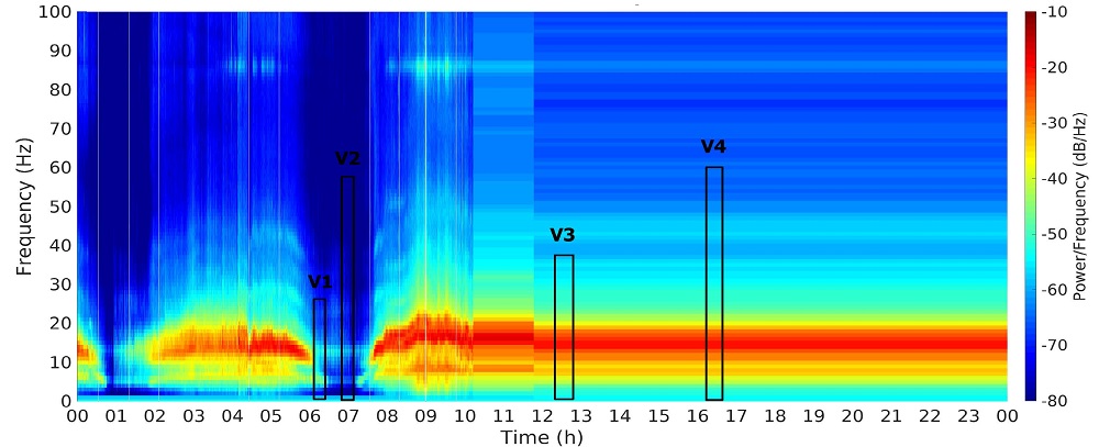 measured fish sound