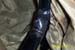 DCP_2444