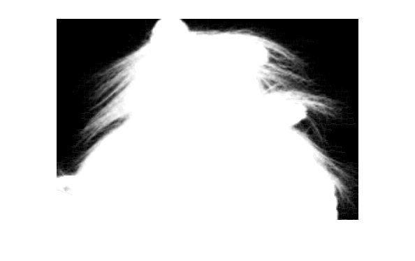 Computed alpha matte
